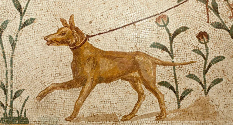 The-Ancient-Breeds-of-Dog-Scoopy-Doo-New-York