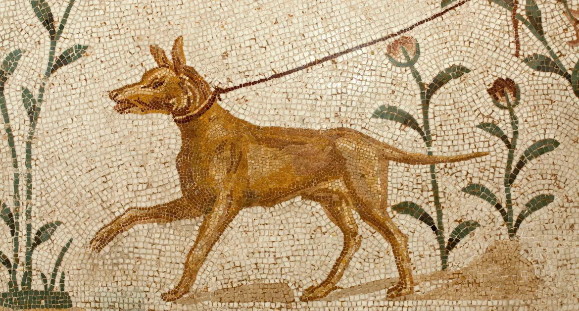 The-Ancient-Breeds-of-Dog-Scoopy-Doo-New-York