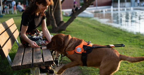 guide-dogs-scoopy-doo-new-york