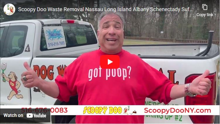 E:\OMG\SCOOPYDOONY-2011-17\ScoopyDooNy-2023\WEB