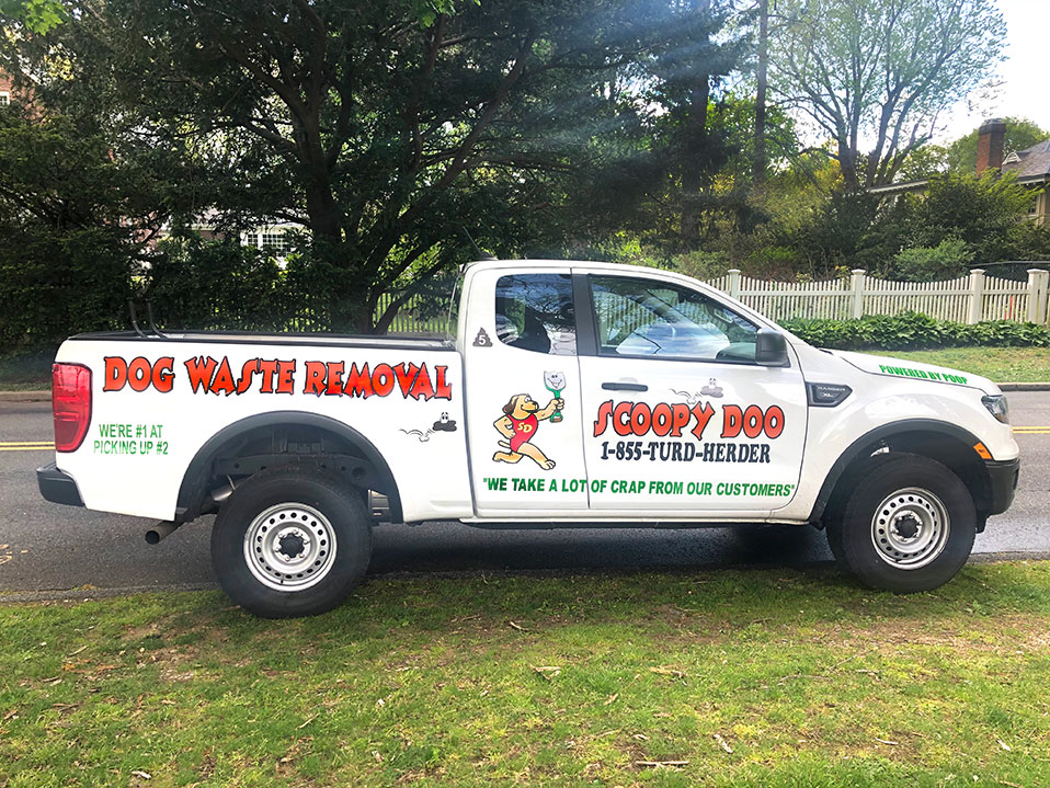 scoopy-doo-ny-truck