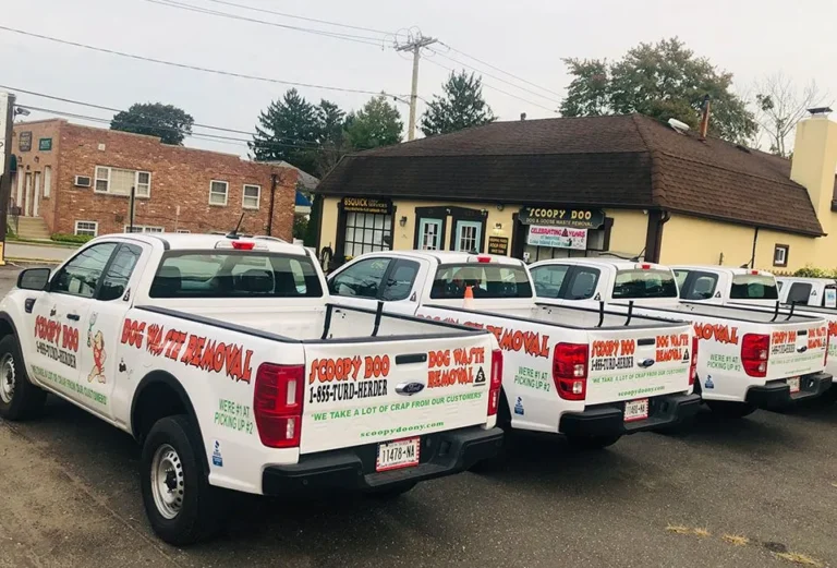scoopy-doo-ny-trucks