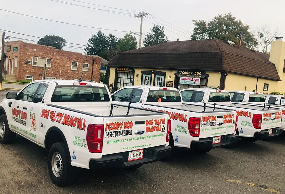 scoopy-doo-ny-trucks